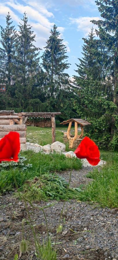Mlyn Tatry Apartamento Veľký Slavkov Exterior foto