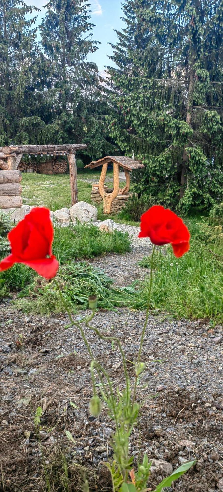 Mlyn Tatry Apartamento Veľký Slavkov Quarto foto